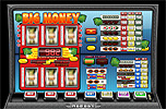 Big Money gokautomaat